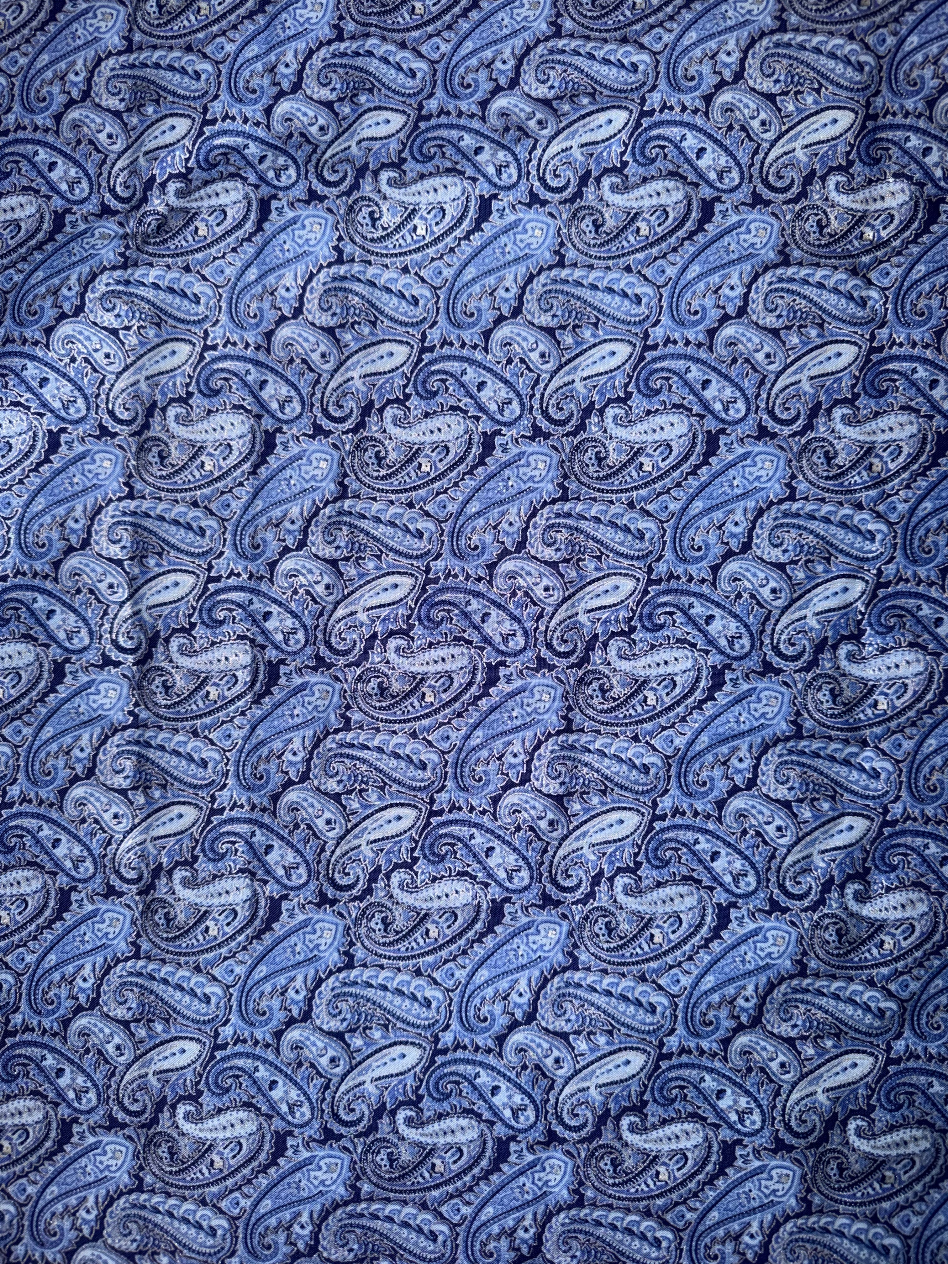 Blue Paisley