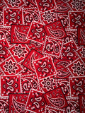 Red Paisley
