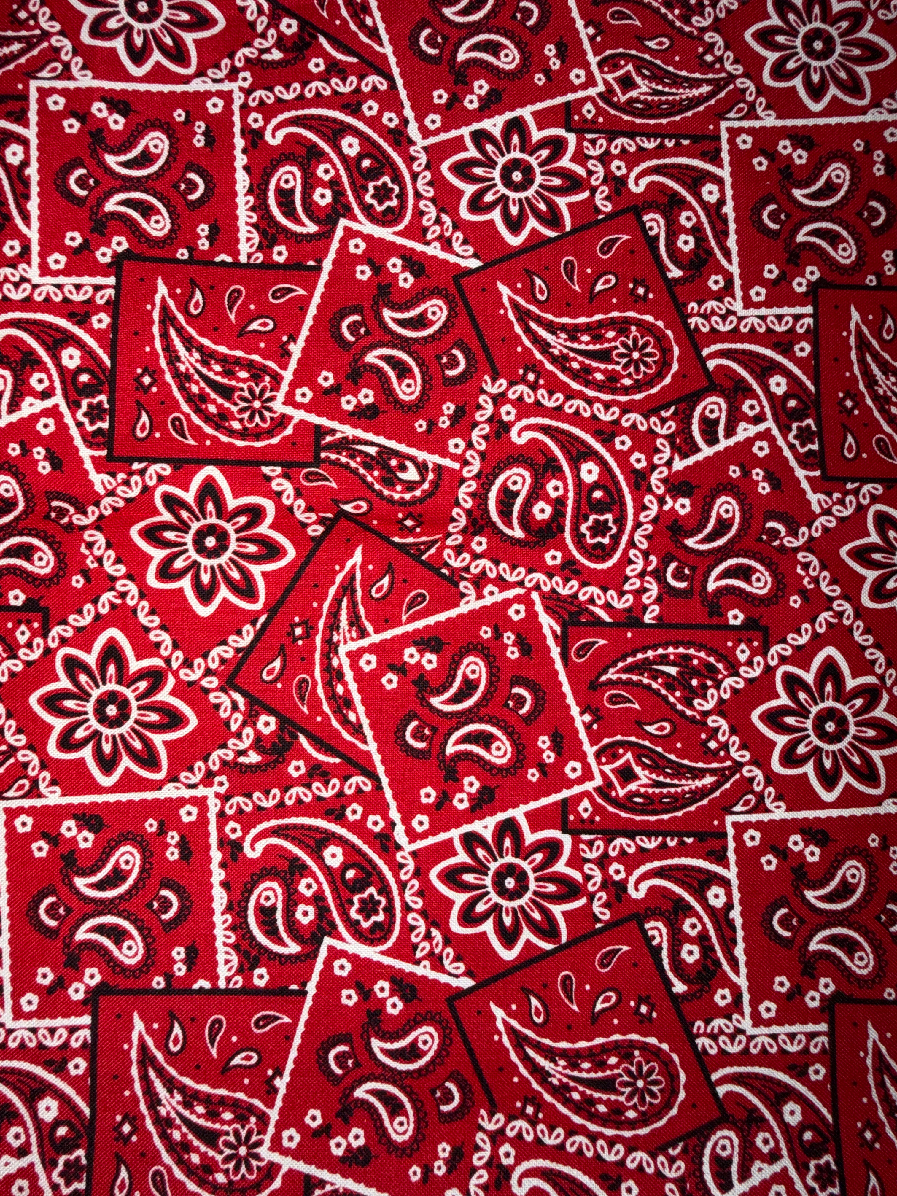 Red Paisley